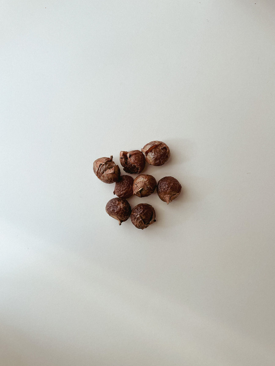 Cocoon - was noten - soap nuts - soap berries - 500g